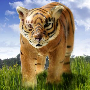 plastictiger